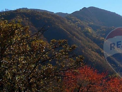 Vendita Azienda agricola Tenuta di ValCasotto, Garessio