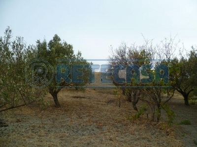 Terreno agricolo in Vendita a Catanzaro, zona LOC. BARONE, 5'000€, 455 m²
