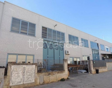 Capannone Industriale in vendita a Cartoceto via Borgognina, 1