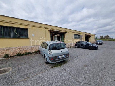 Capannone Industriale in vendita a Roma via del Casale Agostinelli, 143