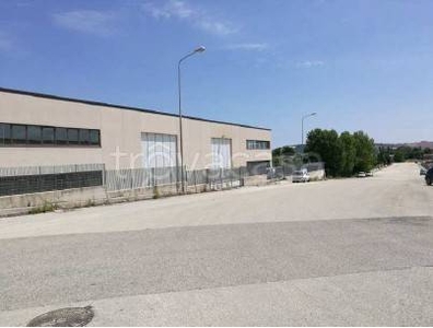 Capannone Industriale in vendita a San Costanzo via Vittorio Alfieri- sp154