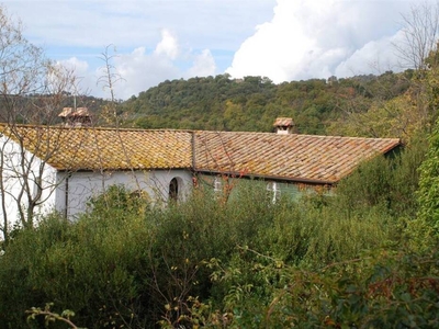In Vendita: Complesso Immobiliare con Terreno e Vista Panoramica in Maremma Toscana, Scansano