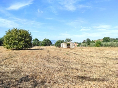 Magazzino in vendita ad Anagni via Casale Lauri