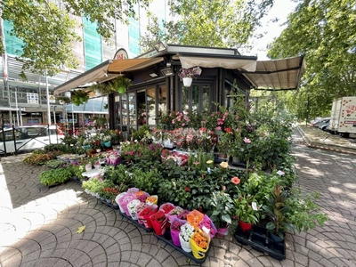 Negozio in vendita a Roma viale Giulio Agricola 1