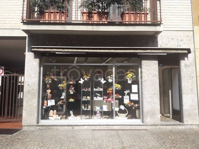 Piante e Fiori in in vendita da privato a Mariano Comense piazza Roma, 88
