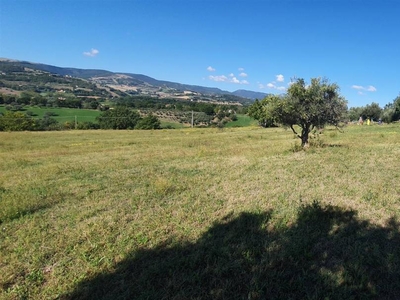 Agriturismo in vendita a San Severino Marche