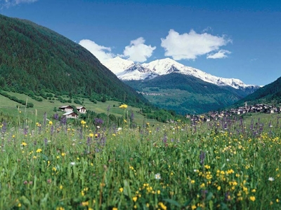 Albergo in vendita a Peio