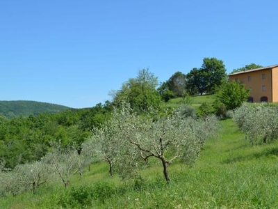 Appartamento in vendita a Montieri