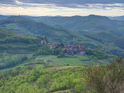 Azienda agricola in vendita a Borgo Priolo