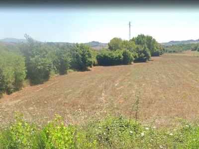 Azienda agricola in vendita a Castell'Azzara