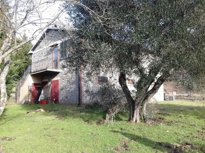 Azienda agricola in vendita a Castiglione D'Orcia