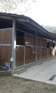 Azienda agricola in vendita a Chitignano
