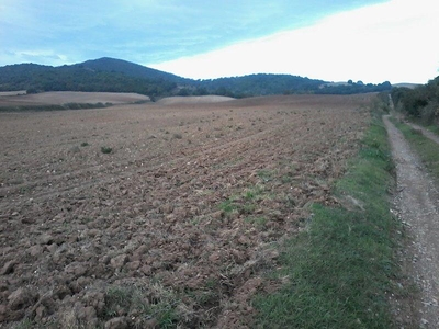 Azienda agricola in vendita a Manciano