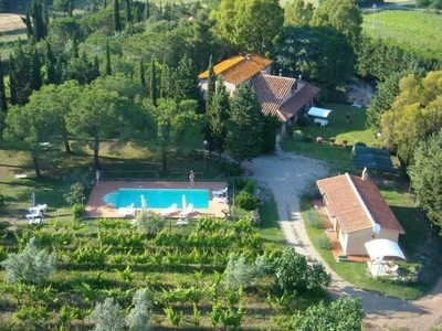 Azienda agricola in vendita a Massa Marittima