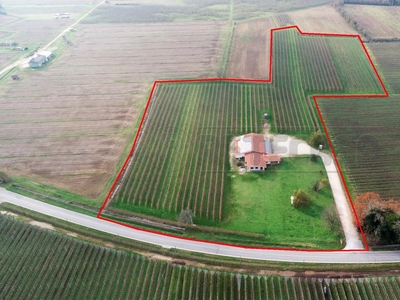 Azienda agricola in vendita a Mortegliano