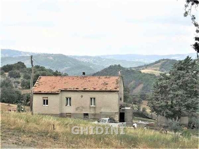 Azienda agricola in vendita a Roccalbegna