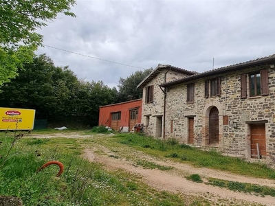 Azienda agricola in vendita a San Severino Marche