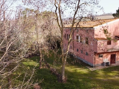 Azienda agricola in vendita a San Severino Marche