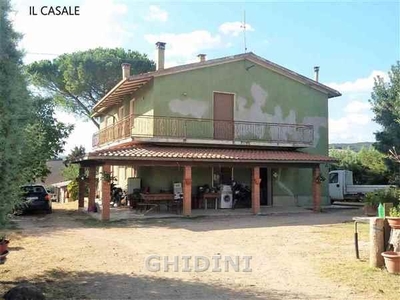 Azienda agricola in vendita a Scansano