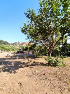 Casa indipendente in vendita a Reggio Calabria