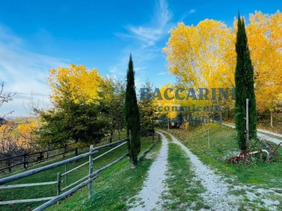 Casa indipendente in vendita a Tredozio