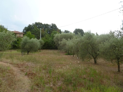 Casale in vendita a Sorano