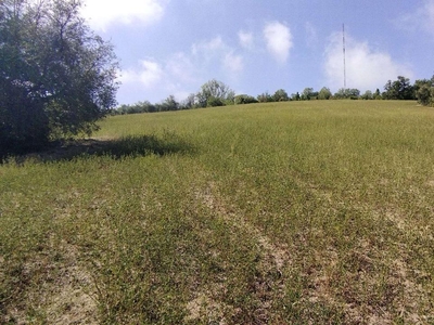 Terreno agricolo in vendita a Ancona