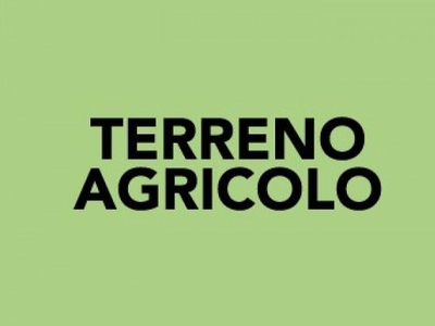 Terreno agricolo in vendita a Bettona