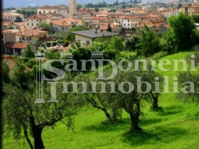 Terreno agricolo in vendita a Capannori