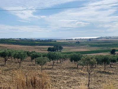 Terreno agricolo in vendita a Castelvetrano