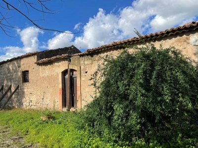 Terreno agricolo in vendita a Catania