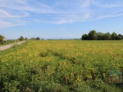 Terreno agricolo in vendita a Cervignano Del Friuli