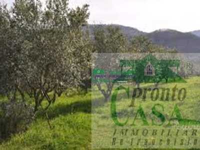 Terreno agricolo in vendita a Chiaramonte Gulfi