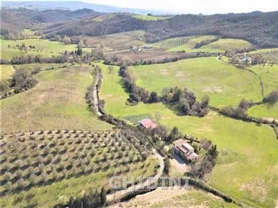 Terreno agricolo in vendita a Cinigiano