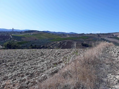 Terreno agricolo in vendita a Cupello