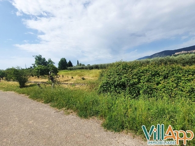 Terreno agricolo in vendita a Fondi