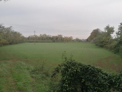 Terreno agricolo in vendita a Forlimpopoli