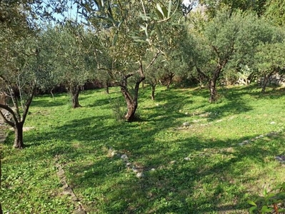 Terreno agricolo in vendita a Formia