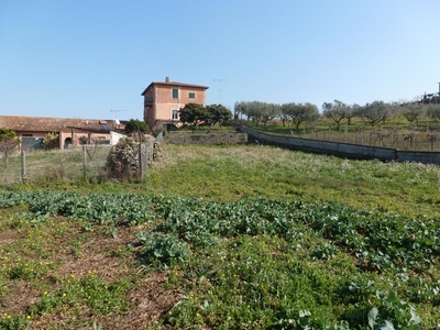 Terreno agricolo in vendita a Frascati