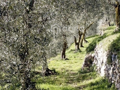 Terreno agricolo in vendita a Laterina Pergine Valdarno