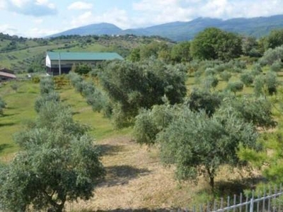 Terreno agricolo in vendita a Lattarico