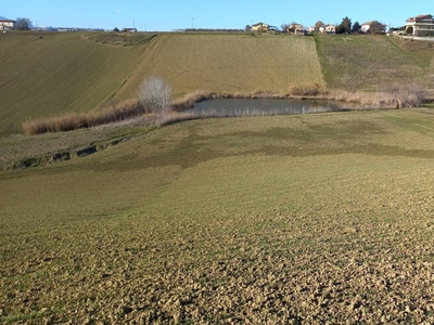 Terreno agricolo in vendita a Manoppello