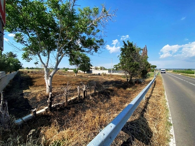 Terreno agricolo in vendita a Melissano