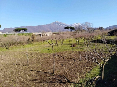 Terreno agricolo in vendita a Mercato San Severino