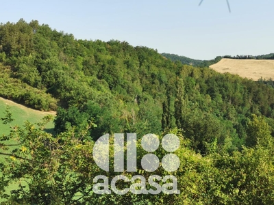 Terreno agricolo in vendita a Mercato Saraceno