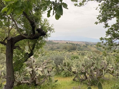 Terreno agricolo in vendita a Militello In Val Di Catania