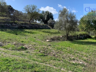 Terreno agricolo in vendita a Modica