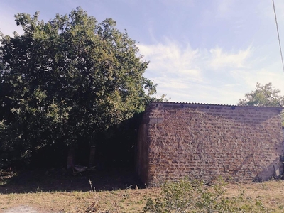 Terreno agricolo in vendita a Monte Romano