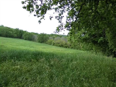 Terreno agricolo in vendita a Monte Romano