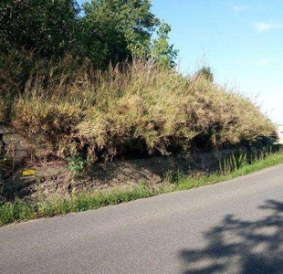 Terreno agricolo in vendita a Montescaglioso